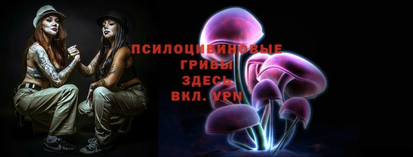 синтетический гашиш Пролетарск